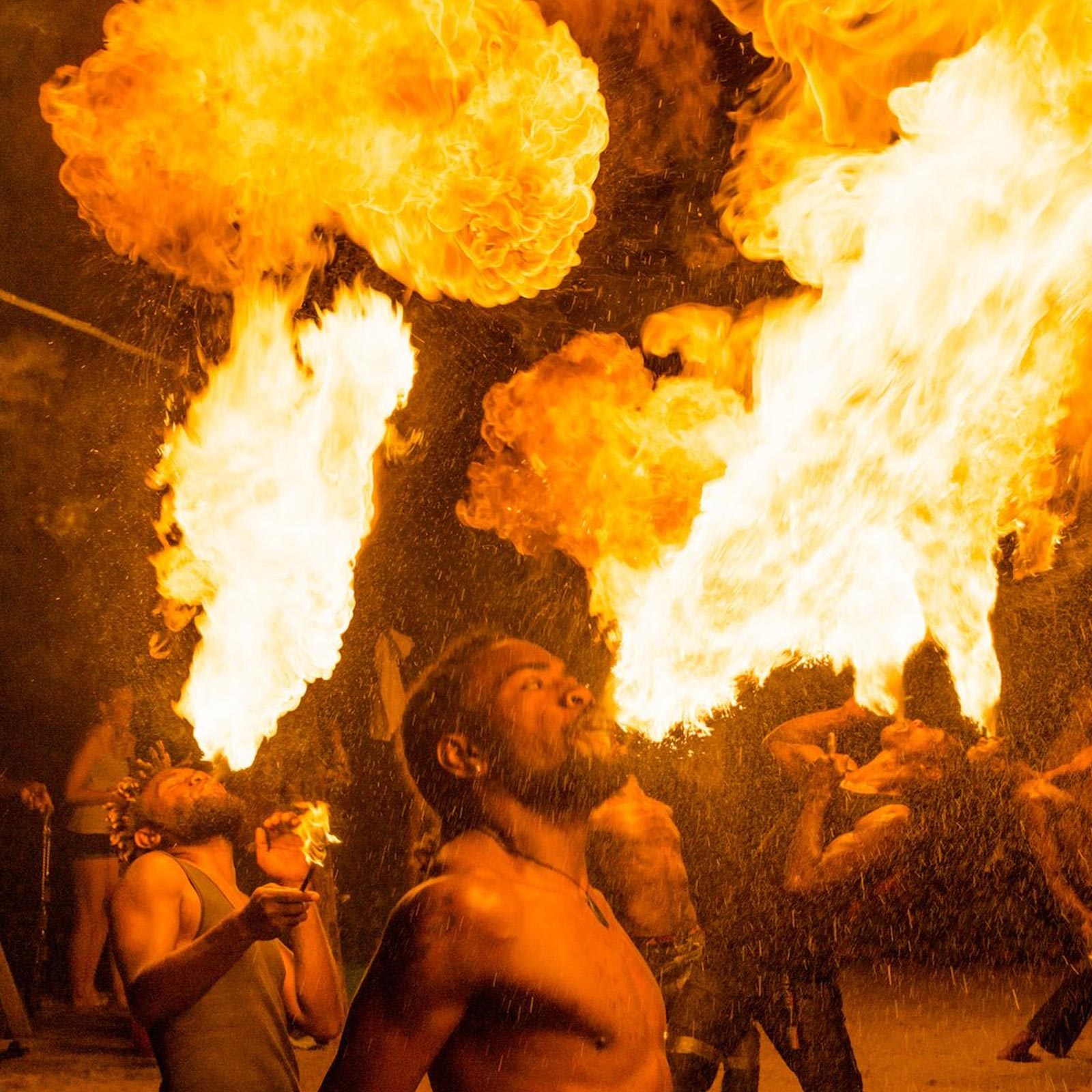 Top Sounds From The Tribe